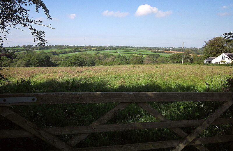 File:Field above the Torridge valley - geograph.org.uk - 4012732.jpg