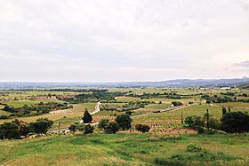 Illustrasjonsbilde av artikkelen Languedoc Montpeyroux