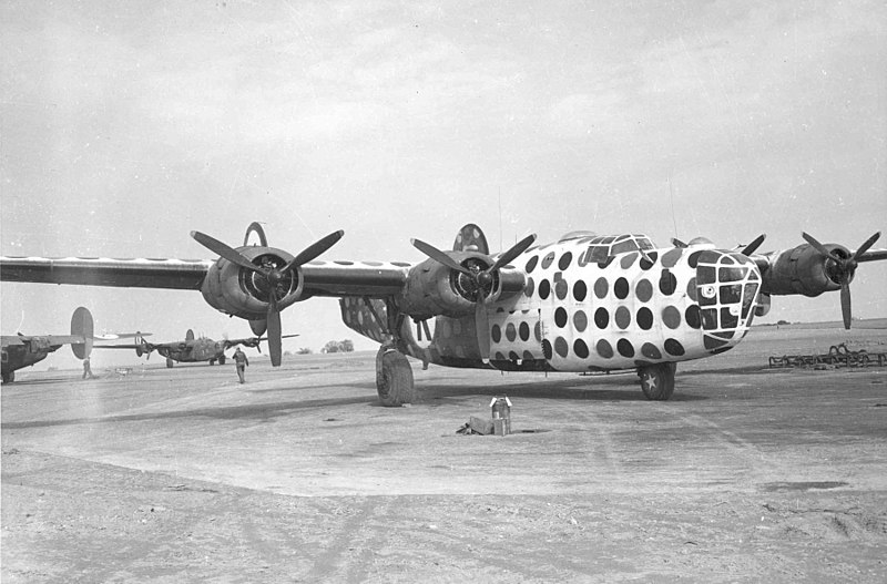 File:First Sergeant B-24D Assembly Ship or Judas Goat.jpg