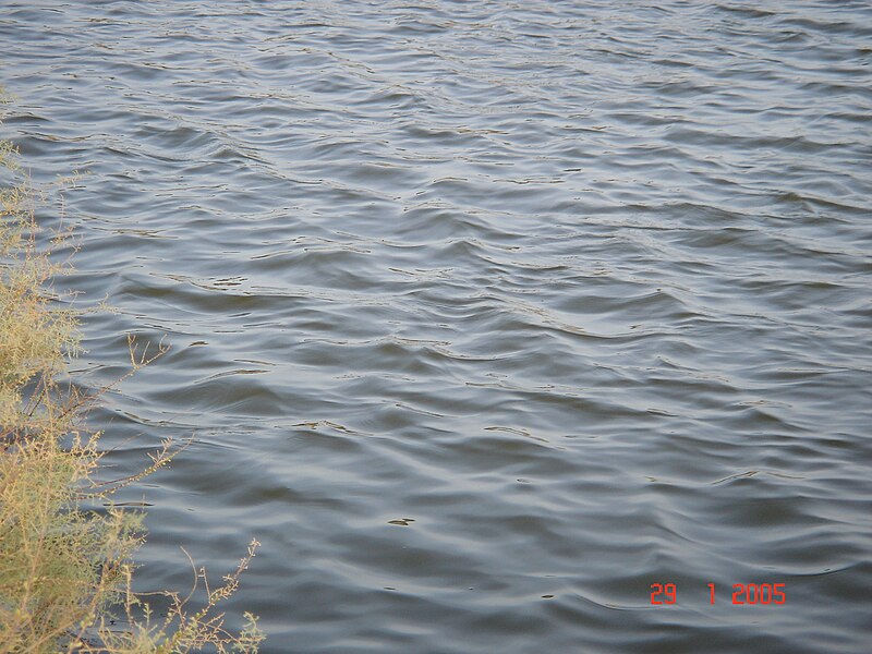 File:Fish pools eastward of HaBonim-Dor beach reserve DSC00549.JPG