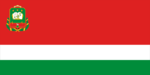 Flag of Michurinsk (Tambov oblast).png