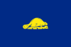 A navy blue flag depicting a gold-colored beaver in the center.