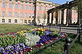 Flowers on Potsdam street 1 (April, 2018).jpg