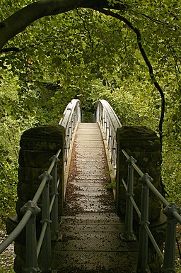 Footbridge over River Wyre - geograph.org.uk - 514370