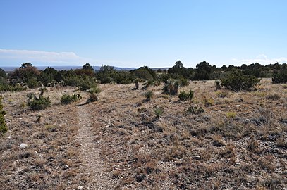 Foothills Trail