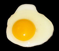 A fried egg