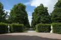 English: Aesculus avenue in Schlosspark Fulda, Fulda, Hesse, Germany