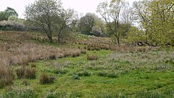 Naturreservat Gantofta: Naturreservat i Skåne län