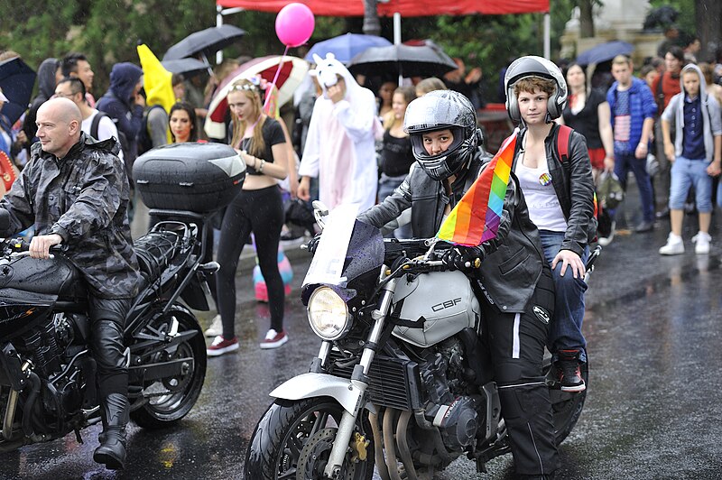 File:Gay Pride Paris 2014 (6).jpg