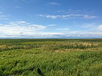 Alaksen National Wildlife Area in Delta George C. Reifel Bird Sanctuary.jpg