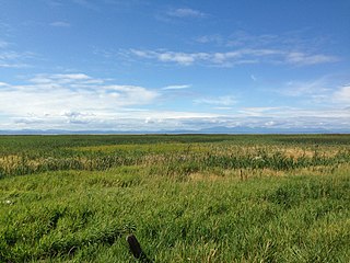 Alaksen National Wildlife Area National Wildlife Area of Canada in Delta, British Columbia