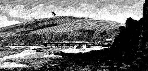 Gerringong Jetty (Unknown engraver, The Sydney Mail and New South Wales Advertiser Sat 22 Apr 1893 Page 819 ).