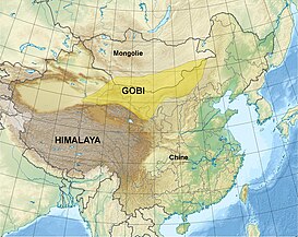 Localización en Asia Oriental