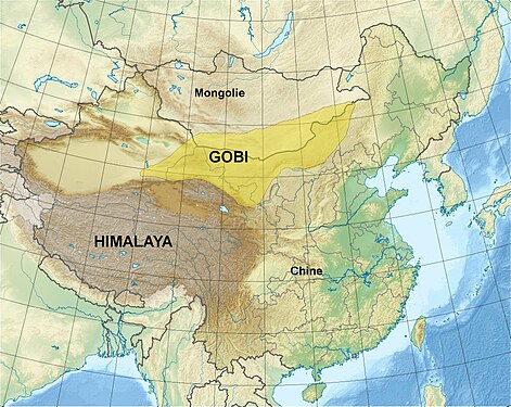 Pour aller au Tibet (en Himalaya), la Division asiatique serait obligée de passer par le terrible désert de Gobi.