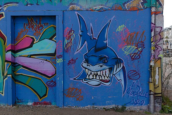 Graffito of a gazing shark in La Rochelle, France