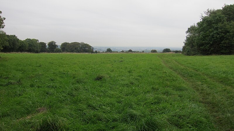 File:Grassy summit of Barrow Hill with footpath - geograph.org.uk - 5146149.jpg