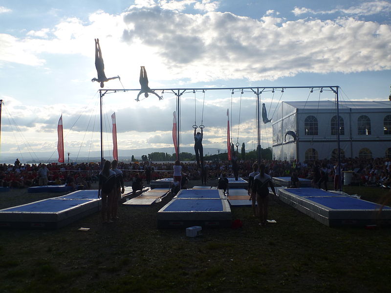 File:Gymnaestrada 2011 Rings.jpg