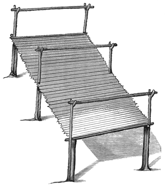 File:HAHL D163 Drying scaffold.png