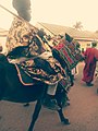Hausa royal dressing 08.jpg