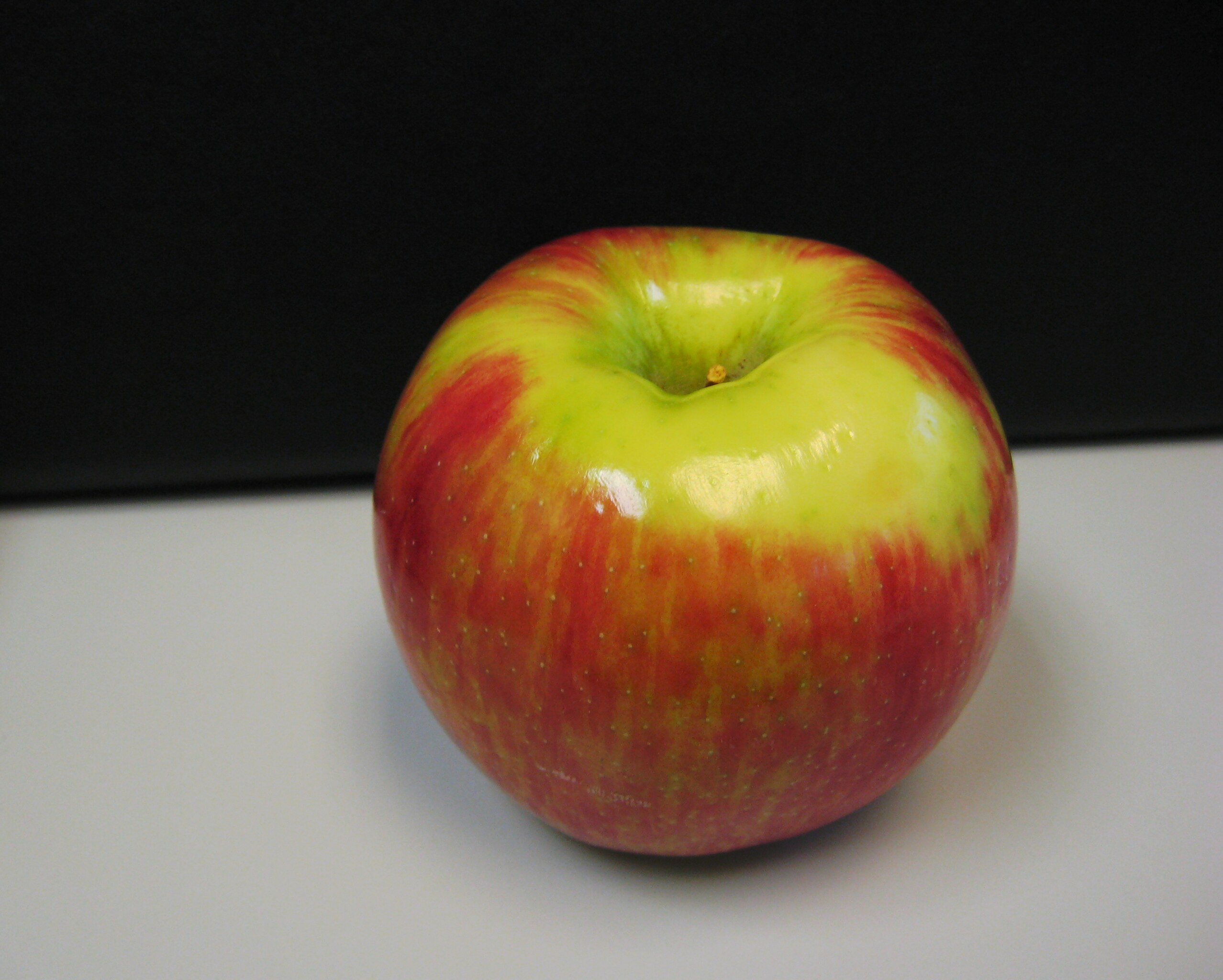 Honeycrisp - Wikipedia