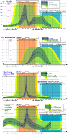 Womens Cycle Chart