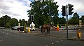 Horse Crossing Road during Royal Ascot 2020 2.jpg