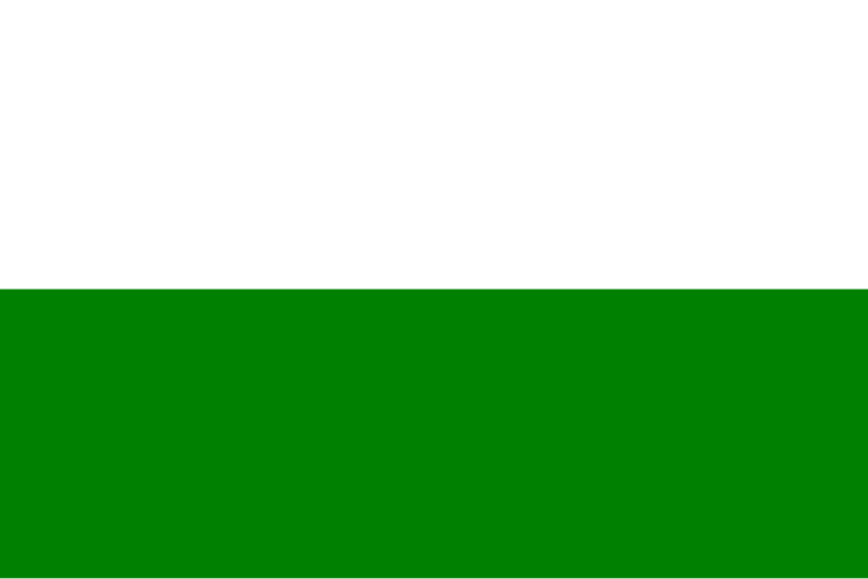 File:INPT-flag.svg