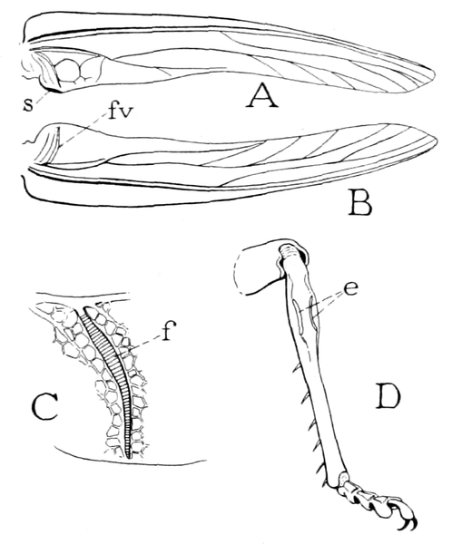 File:ITWAMOL - Fig 19.png