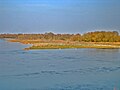 Vignette pour Île aux Oiseaux (Loiret)