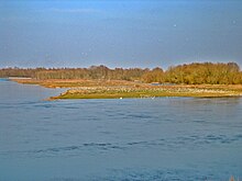 Ile aux oiseaux (Loiret) 01, depuis Sandillon, France.jpg