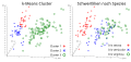 German (SVG)