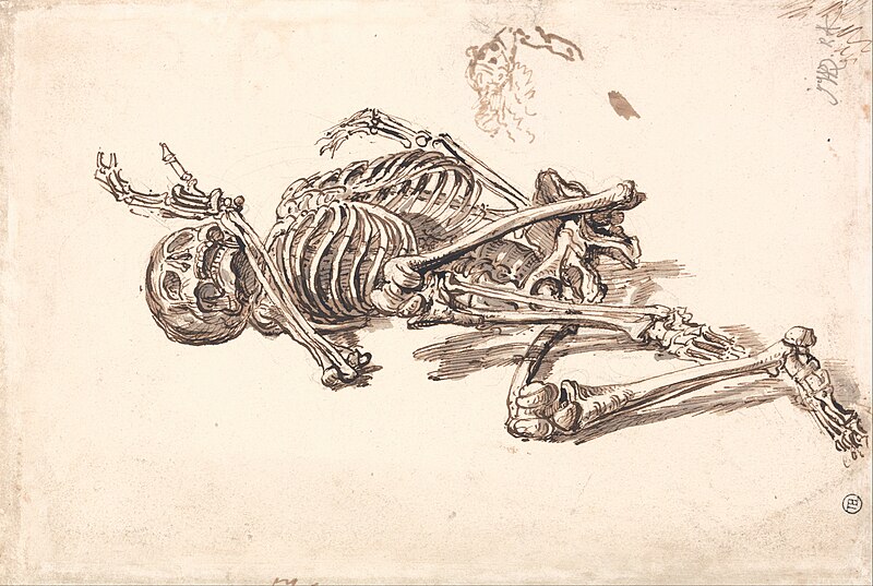 File:James Ward - A Human Skeleton - Google Art Project (2350893).jpg