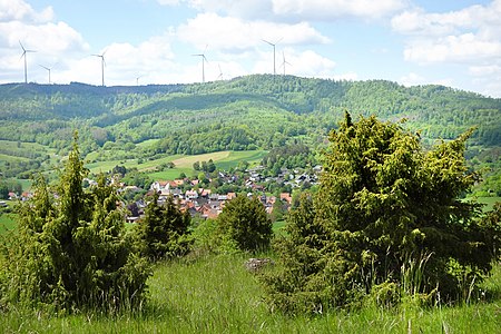 Kalkmagerrasen bei Roßbach (1)