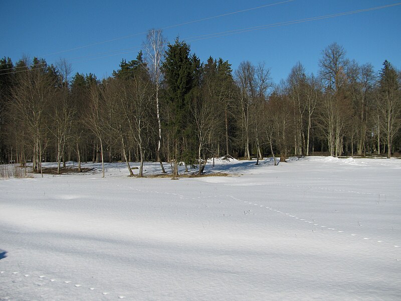 File:Kapi ancient burial ground in Ropazi 03 2015-02-15.jpg