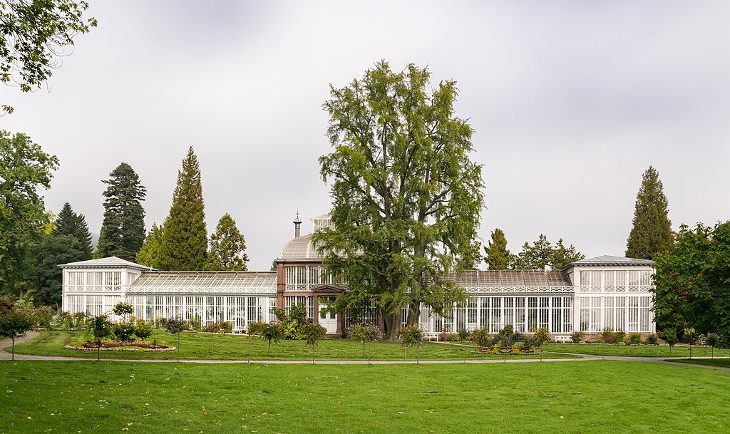 Großes Gewächshaus (Eisenskelettbau von 1822, UNESCO-Welterbe Bergpark Kassel)