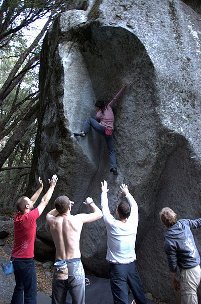 File:King cobra yosemite.jpg