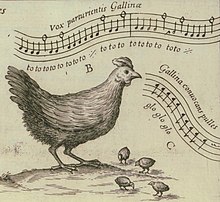 According to Musurgia Universalis (1650), the hen makes "to to too", while chicks make "glo glo glo". Kircher-musurgia-bird-song, chicken.jpg
