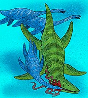 Kronosaurus queenslandicus & Woolungasaurus glendowerensis