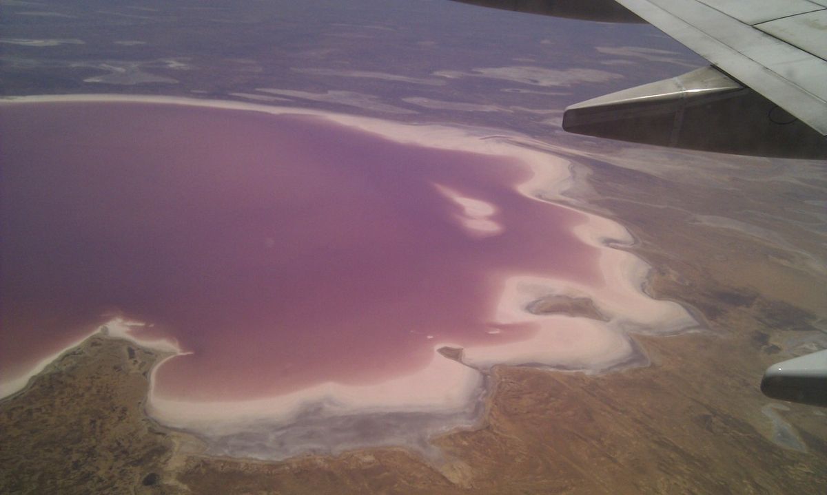 Lake eyre.JPG