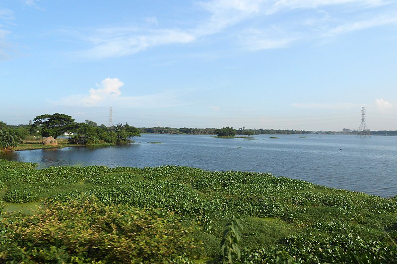 File:Landscape of Narsingdi District (02).jpg