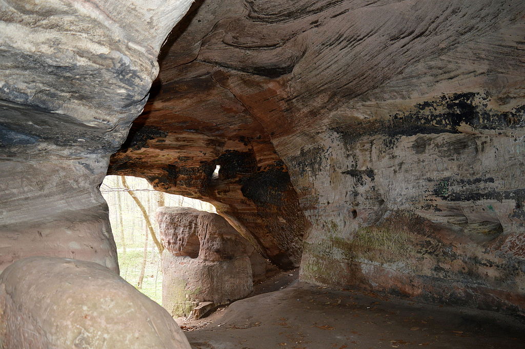 Landschaftsschutzgebiet Huy - Daneilshöhle (11).JPG