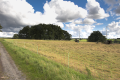 English: Hiking Trail (Agricultural Road) "Baronenweg", Pastures with old Oaks, between Herbstein and Frischborn Eisenbach, Lauterbach, Hesse, Germany