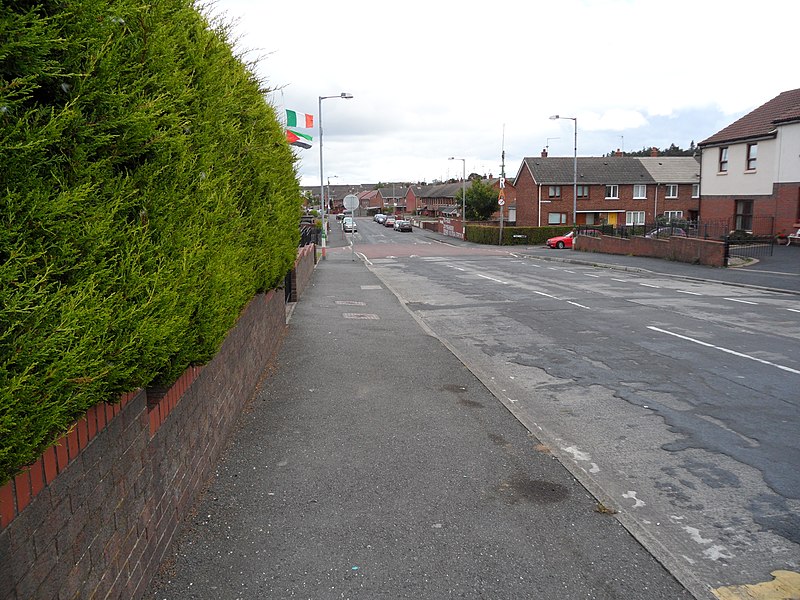 File:Levin Road, Kilwilkie, Lurgan - geograph.org.uk - 2010126.jpg