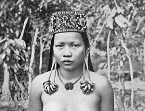 Dayak: Etymologie, Lebensraum, Kultur