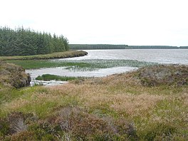 Loch Toftingall - geograph.org.inggris - 880643.jpg