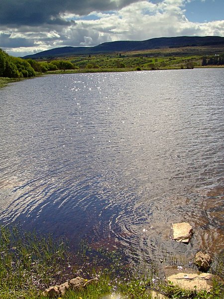 File:Looking down the Kyle of Sutherland - geograph.org.uk - 433356.jpg