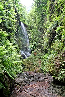 Los Tilos at Island of La Palma, Spain