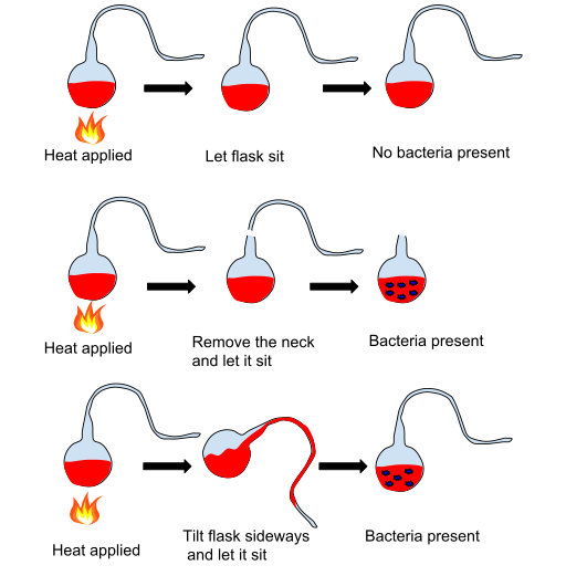 File:Louis Pasteur Experiment.svg