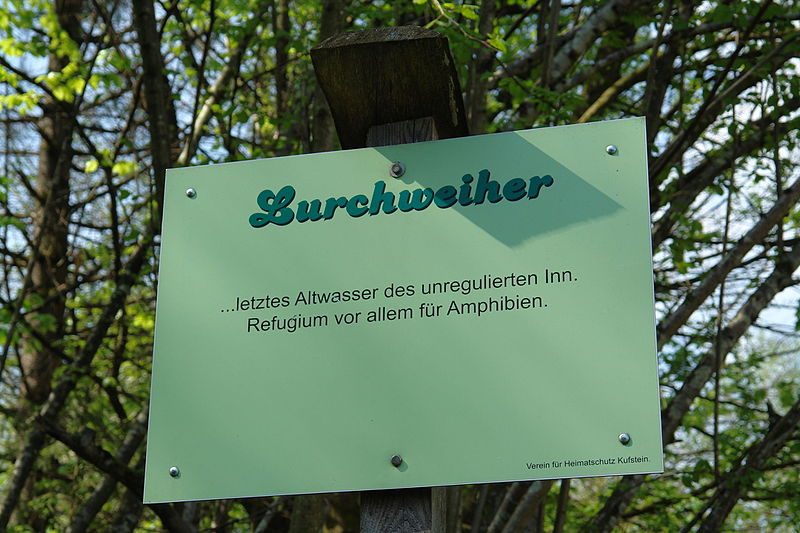 File:Lurchweiher Info-Tafel.JPG