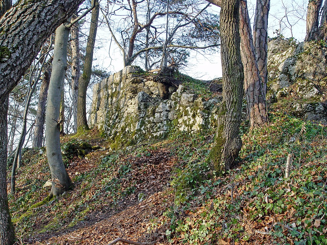 Ruine Münchsberg